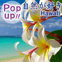 [LINEスタンプ] 飛び出すハワイ✨▶︎自然が好き--Hawaii--