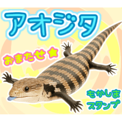 [LINEスタンプ] アオジタの日常