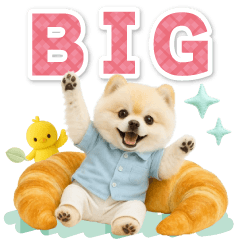[LINEスタンプ] 癒しポメラニアンの気軽な敬語【BIG】