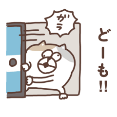 [LINEスタンプ] すんとしたねこ 絡みたい