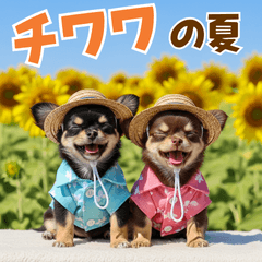 [LINEスタンプ] チワワの夏！