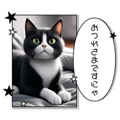 [LINEスタンプ] クールなサングラスねこ