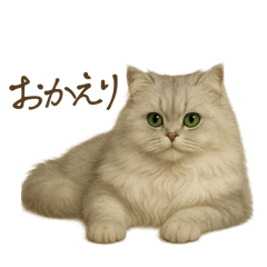[LINEスタンプ] リアルなペルシャ猫