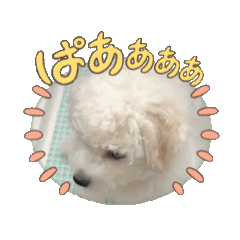 [LINEスタンプ] ミルとココのスタンプ 