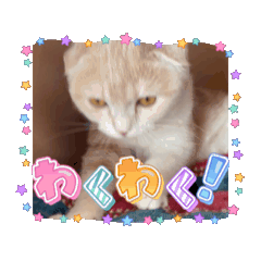 [LINEスタンプ] エメとランプ 第二弾 