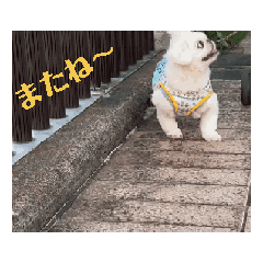 [LINEスタンプ] 珀＆玖 2 
