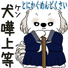 [LINEスタンプ] シーズー犬 「飛び出す」面倒くさいの...