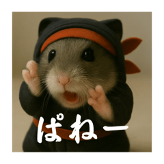 [LINEスタンプ] クセ強忍者ぷくちゃん