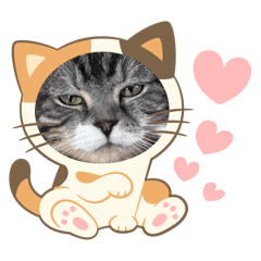 [LINEスタンプ] 怪物猫シリーズ2