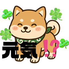 [LINEスタンプ] まめ柴ごころ