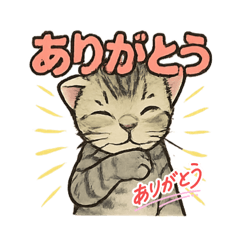 [LINEスタンプ] ちび大豆くん_猫スタンプ
