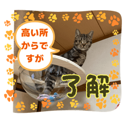 [LINEスタンプ] メンタル屋#あいさつ#笑って