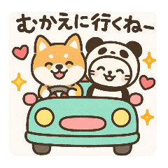 [LINEスタンプ] 柴犬こてつと猫てちのBIGスタンプ