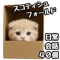 [LINEスタンプ] 日常会話？verスコティシュフォールド
