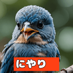 [LINEスタンプ] 青い鳥ブルピヨの感情日記