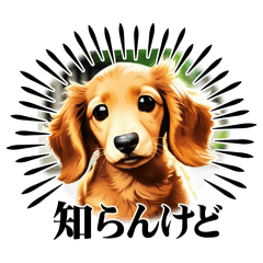 [LINEスタンプ] りぃちゃんスタンプ❤︎part②