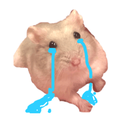 [LINEスタンプ] Hamster！kawaii