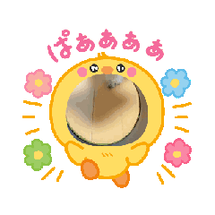 [LINEスタンプ] ぼくは トイプードルくん 