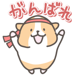 [LINEスタンプ] モルモットの日常色々
