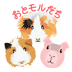 [LINEスタンプ] もるおとうーたん時々スキニー