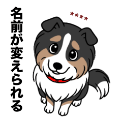 [LINEスタンプ] 名前入りシェルティトライカラー