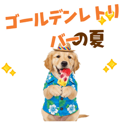 [LINEスタンプ] ゴールデンの夏まつりスタンプ