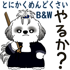 [LINEスタンプ] B＆Wシーズー 「飛び出す」面倒くさいの...