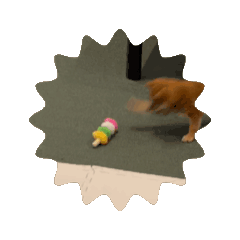 [LINEスタンプ] ソラの子犬期 