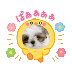 [LINEスタンプ] はる太の日常♡ 