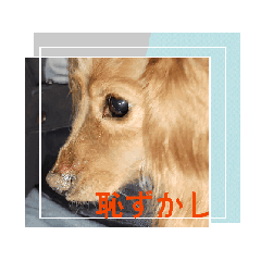 [LINEスタンプ] 動くよⅡ