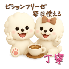 [LINEスタンプ] ビションフリーゼ毎日使える♪丁寧⭐︎立体