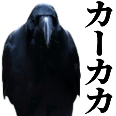 [LINEスタンプ] カカカのカカカカ