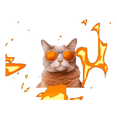 [LINEスタンプ] ミームにゃんこの大暴走