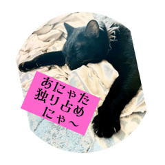 [LINEスタンプ] てんしの百合かごニャンズ