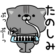 [LINEスタンプ] にゃむ猫ちゃぽ挨拶ゆるいかも