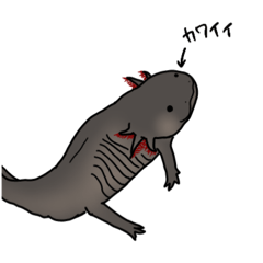 [LINEスタンプ] 使いやすいウーパールーパー