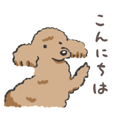 [LINEスタンプ] みんなだいすきトイプーさん