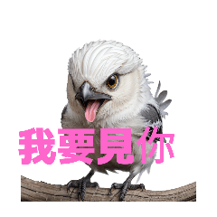 [LINEスタンプ] しまえなが C