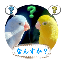 [LINEスタンプ] マメルリハ達26