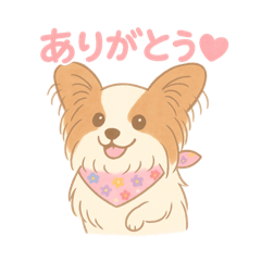 [LINEスタンプ] パピヨン あるちゃん 日常会話