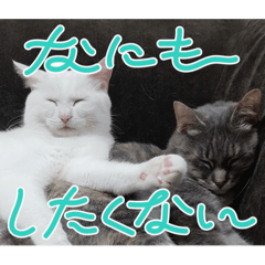 [LINEスタンプ] ぽんずときなこの毎日