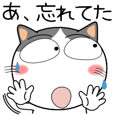 [LINEスタンプ] ハチワレ猫★家族通信の画像（メイン）