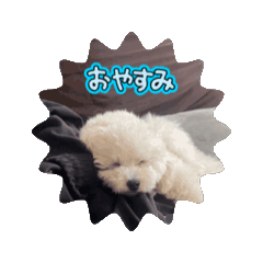 [LINEスタンプ] おもちの日常【1】 fetchpriority=high