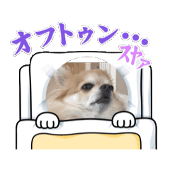 [LINEスタンプ] モコモコ、ミルミル、キララ、コロン fetchpriority=high