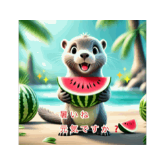 [LINEスタンプ] ❤️動く❤️夏、海❤️スイカ、動物❤️