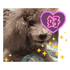 [LINEスタンプ] 動く！激かわいいクリシェ2025.8