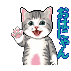 [LINEスタンプ] 猫の日常会話フレーズ