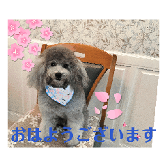 [LINEスタンプ] 動く！激かわいいクリシェ2025.08