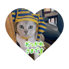 [LINEスタンプ] なつのオモシロすたんぷ① 