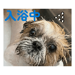 [LINEスタンプ] レオンとキアヌの日常 